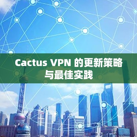 Cactus VPN 的更新策略与最佳实践 Cactus VPN 的更新策略与最佳实践