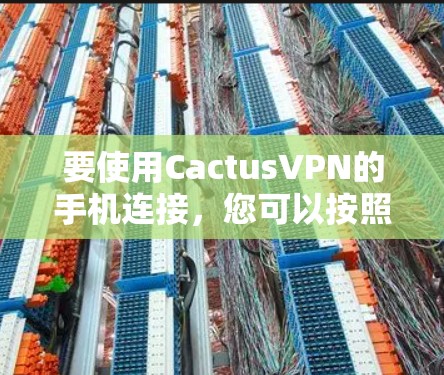 要使用CactusVPN的手机连接，您可以按照以下步骤进行操作