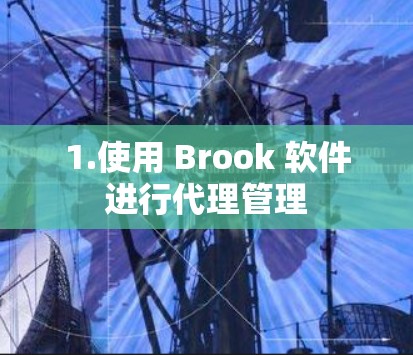 1.使用 Brook 软件进行代理管理