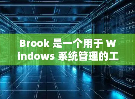 Brook 是一个用于 Windows 系统管理的工具，主要用于管理文件、管理桌面和设置文件扩展名等。以下是一个详细的安装指南，帮助您顺利安装并使用 Brook