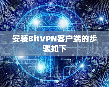 安装BitVPN客户端的步骤如下