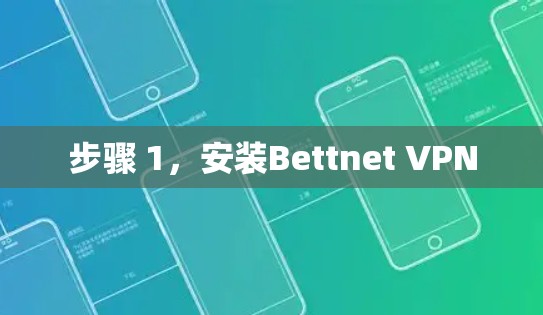 步骤 1，安装Bettnet VPN
