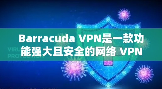 Barracuda VPN是一款功能强大且安全的网络 VPN 解决方案,适合多种网络环境下的需求。以下是对其网络防护的详细分析 Barracuda VPN是一款功能强大且安全的网络 VPN 解决方案,适合多种网络环境下的需求。以下是对其网络防护的详细分析