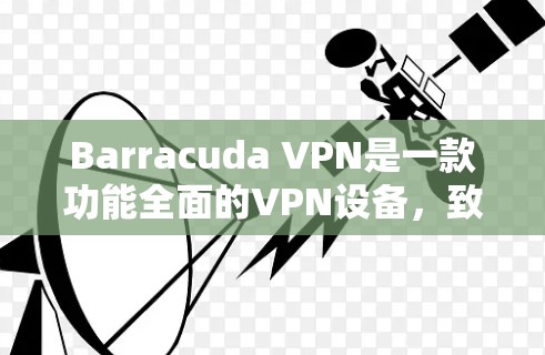 Barracuda VPN是一款功能全面的VPN设备，致力于保护用户在网络环境的安全。以下是对其功能的详细总结