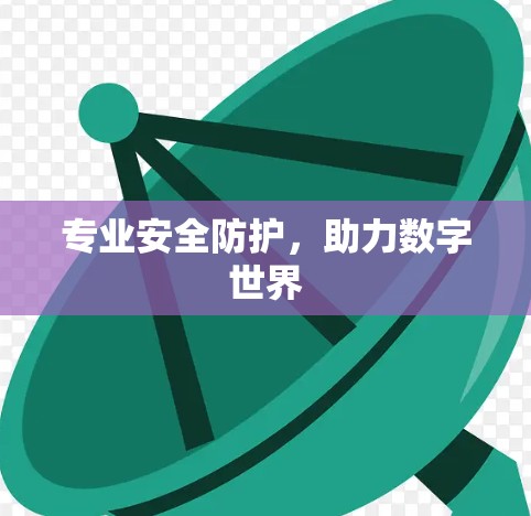 专业安全防护,助力数字世界 专业安全防护,助力数字世界