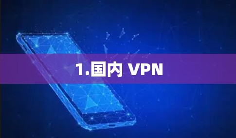 1.国内 VPN