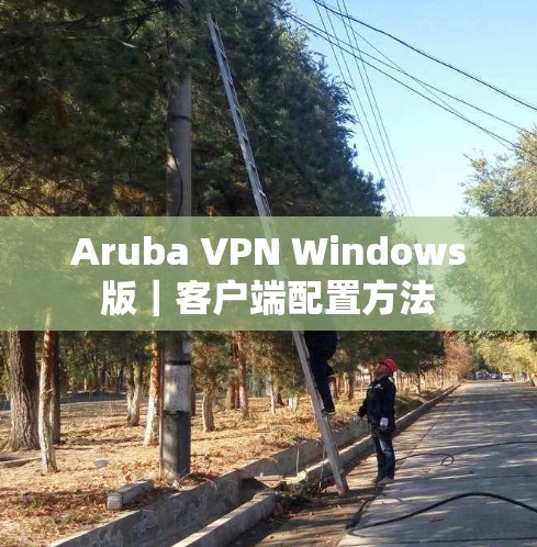 Aruba VPN Windows版｜客户端配置方法
