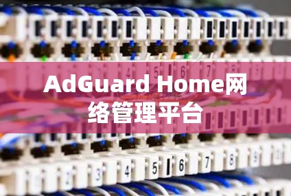 AdGuard Home网络管理平台