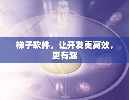 <strong>梯子</strong>软件，让开发更高效，更有趣