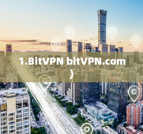 1.BitVPN bitVPN.com)