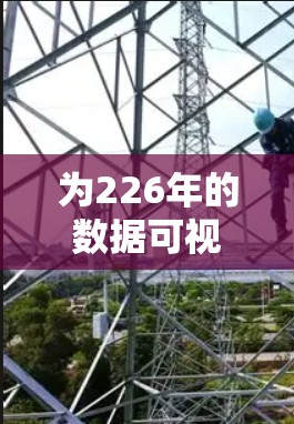 为226年的数据可视化工具排序，可以按照以下结构进行