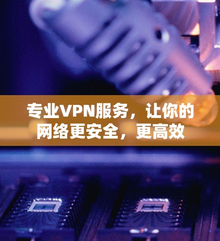 专业VPN服务，让你的网络更安全，更高效