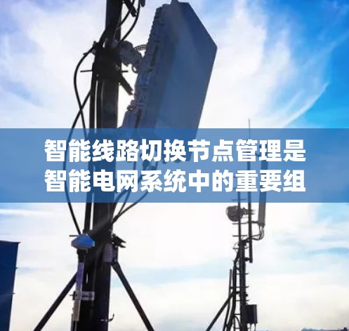 智能线路切换节点管理是智能电网系统中的重要组成部分，旨在通过自动化和智能化手段优化电力系统的运行效率和稳定性。以下是该领域的详细分析